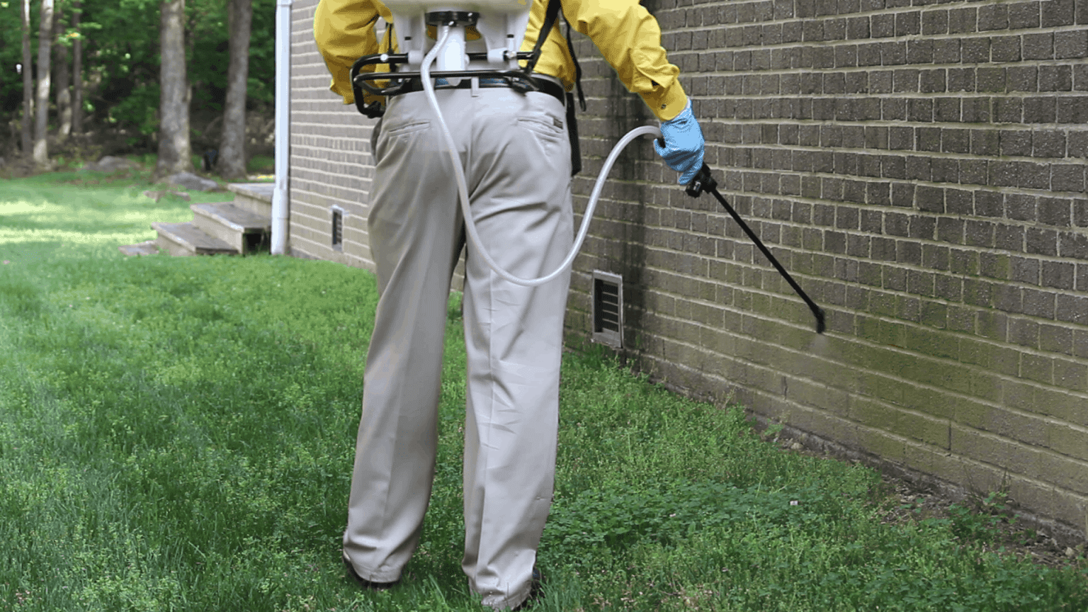 Making Smart Pest Control Decisions Around Your Home
