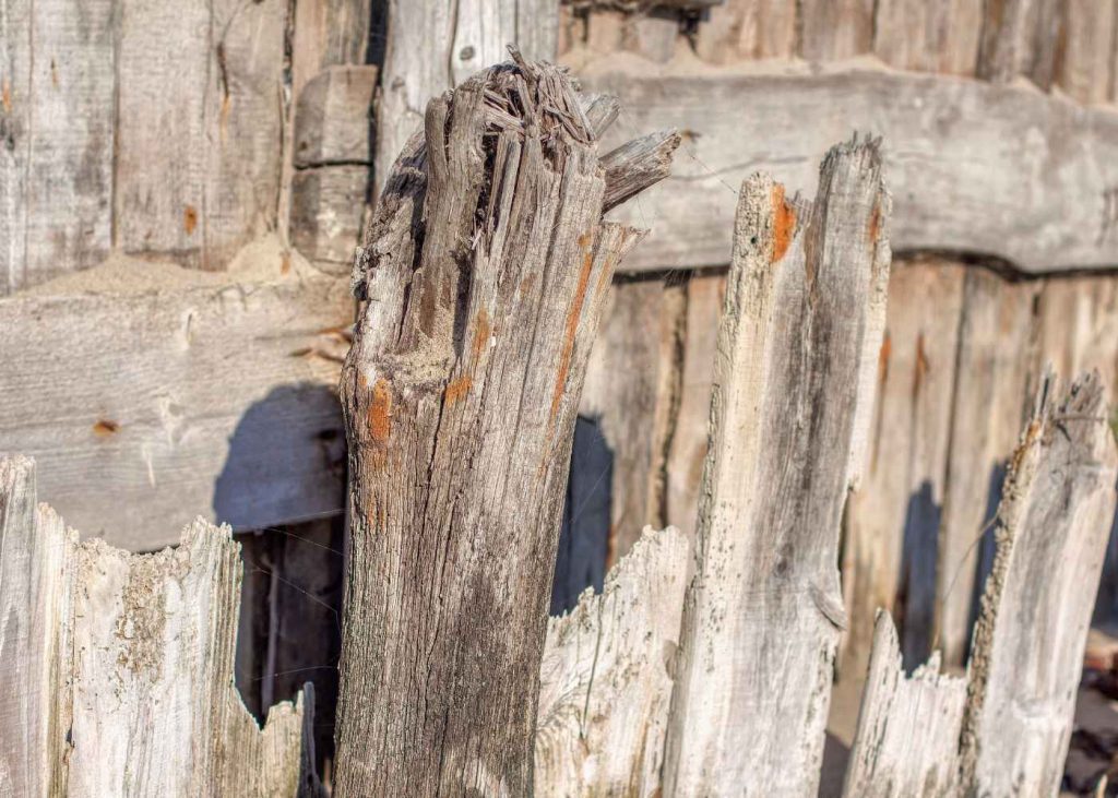 5 Clear Indicators It’s Time to Replace Your Fence